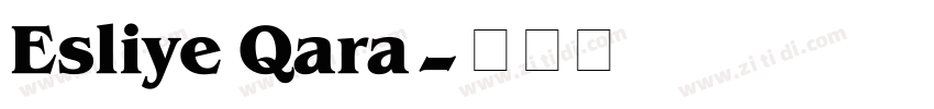 Esliye Qara字体转换